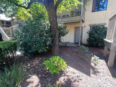Main picture of 441 7th St W