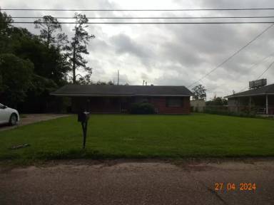 Main picture of 113 Shady Ln