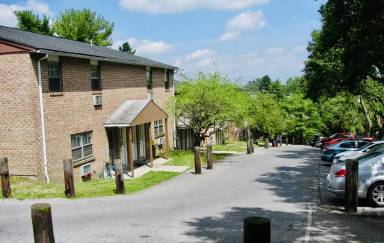 Main picture of 3551A The Cloverleaf