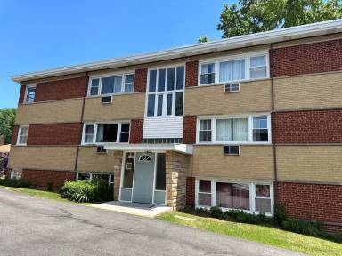 Main picture of 145 E Palatine Rd