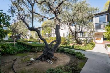 Main picture of Olive Tree Lane Apartments