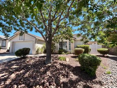 Main picture of 2095 Angel Falls Dr