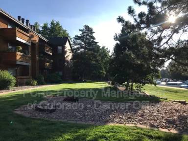 Main picture of 427 Wright St