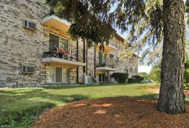 Main picture of Blue Spruce Apartments