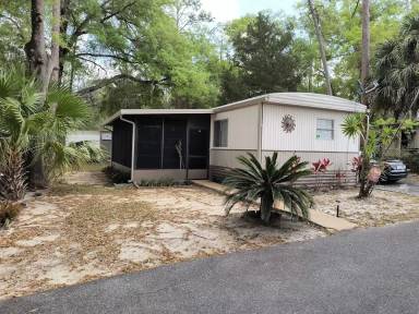 Main picture of 13582 Fl 40 103 Pine S Ts 103 Pne St