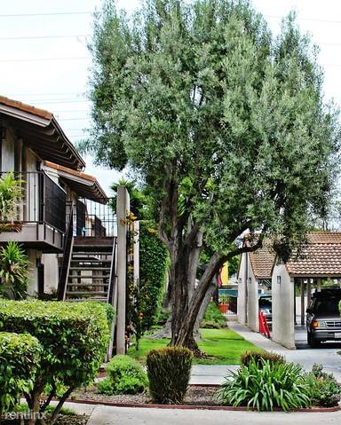Main picture of Porta Rossa Apartments