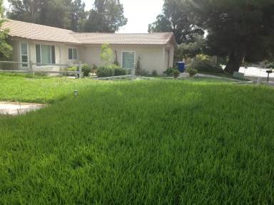 Main picture of 2554 Irvington Ave