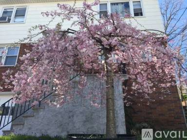 Main picture of 11 Putnam Ave