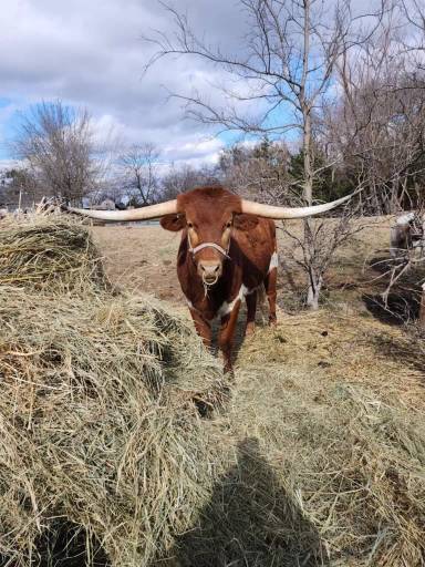 Main picture of 645 County Road 4160