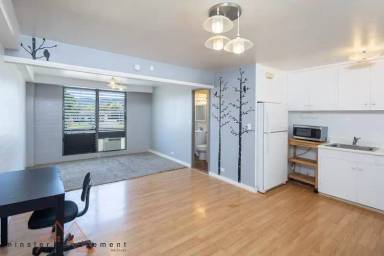 Main picture of 1469 Lusitana St