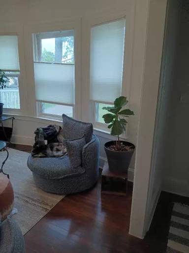 Main picture of 71 Chestnut St