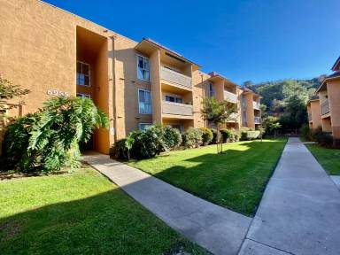 Main picture of Cerro Vista