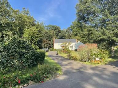 Main picture of 74 Mansion Rd