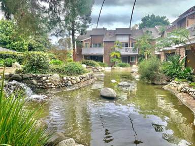 Main picture of Lake Grove