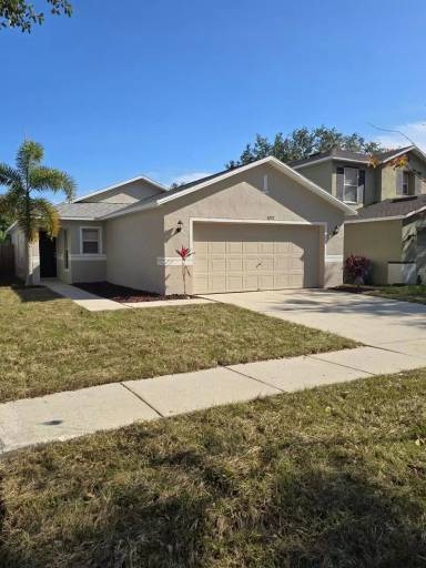 Main picture of 5207 Mango Fruit St