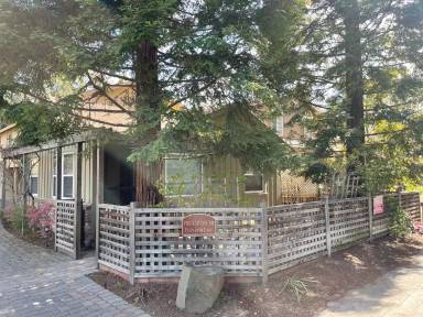 Main picture of 705 Elizabeth Ln