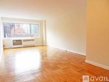 Main picture of 347 E 65th St