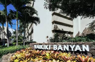 Main picture of Waikiki Banyan