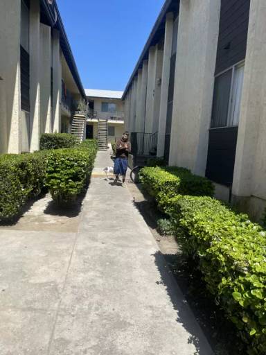Main picture of 344 S Willie James Jones Ave