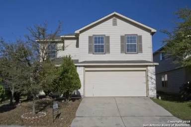 Main picture of 8427 Silver Willow