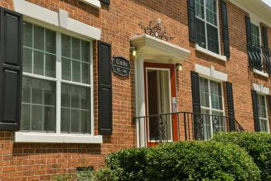 Main picture of Hidden Colony