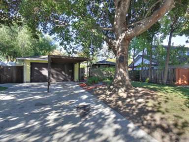 Main picture of 709 Chopin Dr