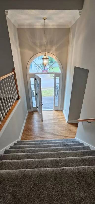 Main picture of 512 Earnest Ln