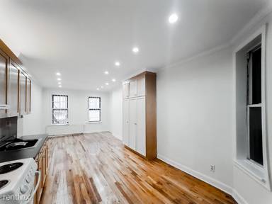 Main picture of 527 W 48th St