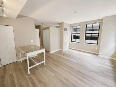 Main picture of 159 N Wells St