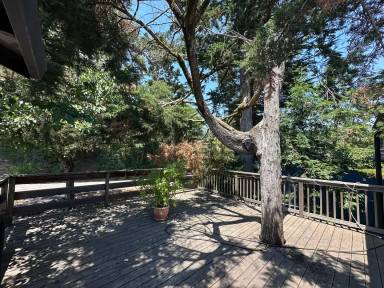 Main picture of 6800 Saroni Dr