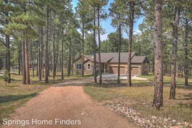 Main picture of 10956 Silver Mountain Pt