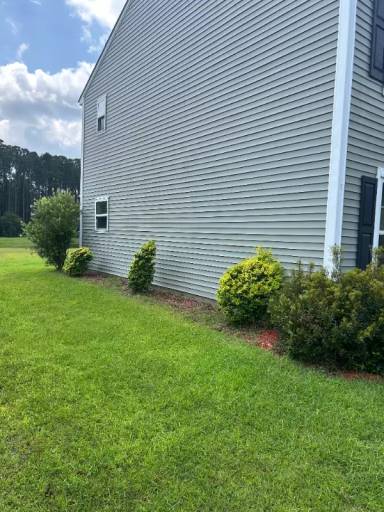 Main picture of 110 Scarlet Oak