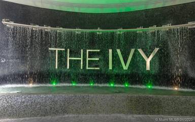 Main picture of The Ivy