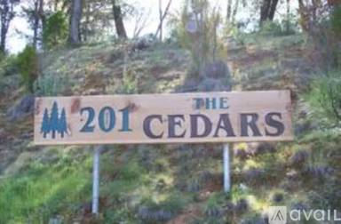 Main picture of 201 Cedar Ravine Cir