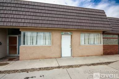 Main picture of 513 W 7th St