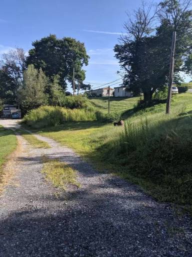 Main picture of 12 Circle Dr