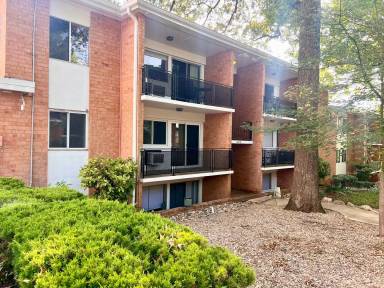 Main picture of 1800 JPA Apartments