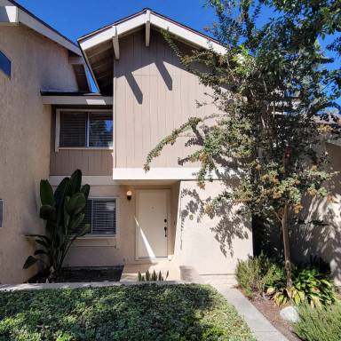 Main picture of 6 Cattail