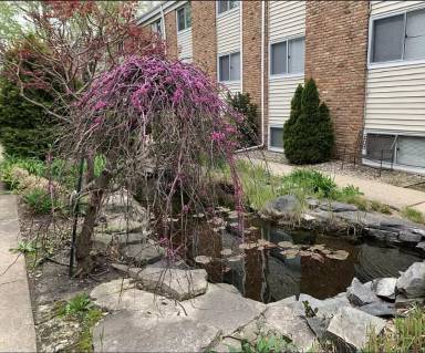 Main picture of Garden Courts Apartments