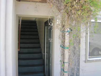 Main picture of 219 Fern St