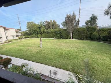 Main picture of Sea Spray