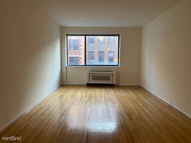Main picture of 355 W 52nd St