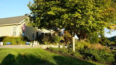 Main picture of 2301 Rutledge Rd