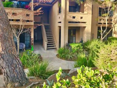 Main picture of 1046 Calle del Cerro