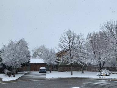 Main picture of 332 Snowy Owl Cir