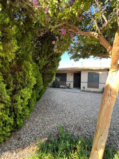 Main picture of 2458 San Padre Ct