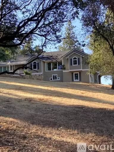 Main picture of 20037 Buck Ridge Rd