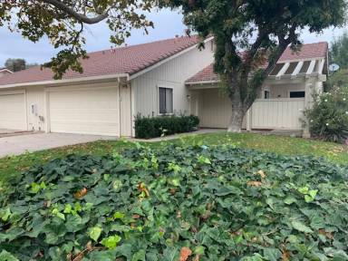 Main picture of 339 Acacial St