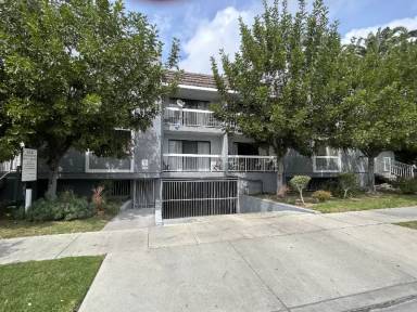 Main picture of 309 E Elk Ave