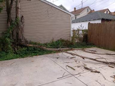 Main picture of 229 Lovering Ave